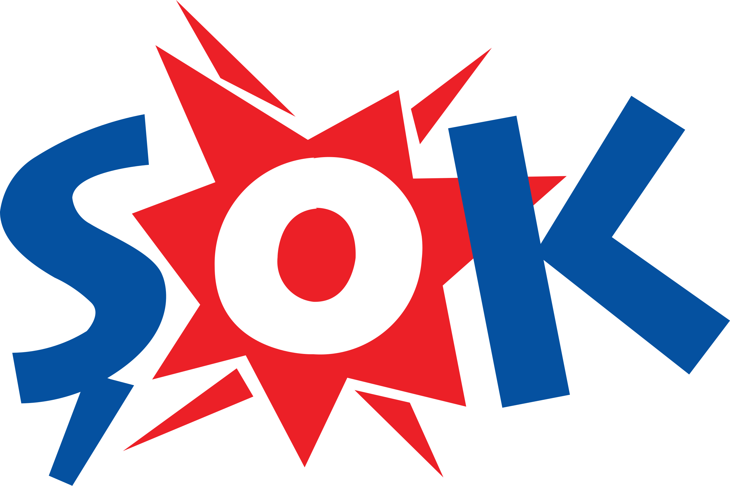 Şok Market Logosu